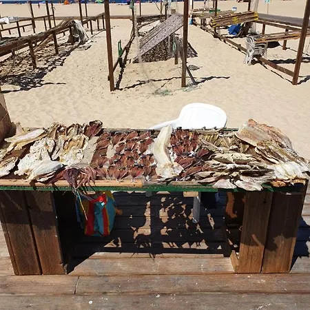 Nyaraló A Casa Dos Avos